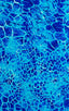 Enhancing Pouch Swim Brief in New World Blue 1; Enhancing Pouch Swim Brief in New World Blue 2; Enhancing Pouch Swim Brief in New World Blue 3; Enhancing Pouch