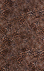 Enhancing Pouch Swim Brief in Super ThinSKINZ Cheeta, Front View; Enhancing Pouch Swim Brief in Super ThinSKINZ Cheeta, Rear View; Enhancing Pouch Swim Brief in