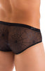 Pouch Brief Swimsuit in Black with Semi Sheer Spiderweb Mesh 3; Pouch Brief Swimsuit in Black with Semi Sheer Spiderweb Mesh 4; Pouch Brief Swimsuit in Black wi