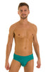 Pouch Brief Swimsuit in Deep Jade, Front View; Pouch Brief Swimsuit in Deep Jade, Rear View; Special Order Notice; Pouch Brief Swimsuit in Deep Jade Fabric