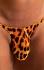 best seller mens sexy swimwear micro bikini golden leopard skinz swimsuit; Sunseeker Micro Pouch Half Back Bikini in Golden Leopard 2; Sunseeker Micro Pouch Hal