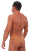 Teardrop G String Swim Suit in Liquid Gold, Front View; Teardrop G String Swim Suit in Liquid Gold, Rear View; Special Order Notice; Teardrop G String Swim Suit