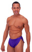 A14 - Mens Swimsuit Cover Up Split Running Shorts - Solid 3453 Royal purple - Skinzwear