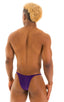 M66 - Mens Micro String Rio Bikini - Solids 3453 Royal purple - Skinzwear
