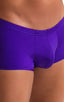 M76 - Mens Fitted Pouch Boxer Swim Trunks - Solids 3453 Royal purple - Skinzwear