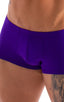 M76 - Mens Fitted Pouch Boxer Swim Trunks - Solids 3453 Royal purple - Skinzwear
