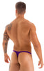 M77 - Mens Micro Pouch Swimsuit Thong - Solids 3453 Royal purple - Skinzwear