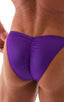 mens posing suit with fitted pouch and fitted puckered butt bodybuilder bikini in royal purple; Fitted Pouch - Puckered Back - Bikini in Royal Purple 2; Fitted 