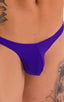 mens sexy bikini swimsuit royal purple skinz swimwear cheekini; Tanga Cheekini Bikini in Royal Purple 2; Tanga Cheekini Bikini in Royal Purple 3; Tanga Cheekini