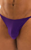 mens maximum tanning micro swimsuit bikini skinz swimwear in royal purple; Sunseeker2 Tanning Swimsuit in Royal Purple 2; Sunseeker2 Tanning Swimsuit in Royal P