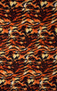 SuperThinSKINZ Wild Tiger 1; SuperThinSKINZ Wild Tiger 2