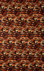 SuperThinSKINZ Wild Tiger 1; SuperThinSKINZ Wild Tiger 2
